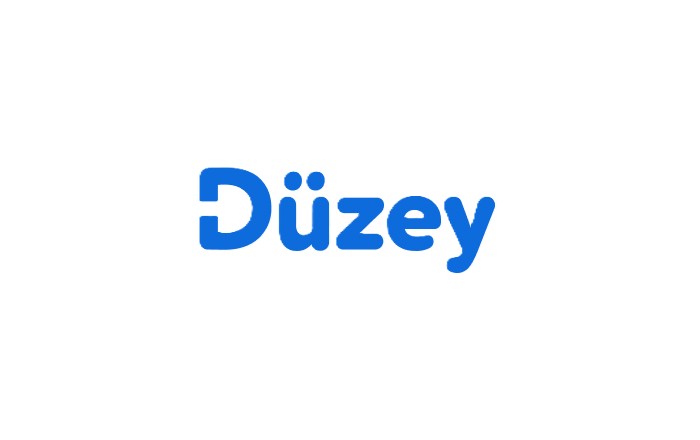 Düzey